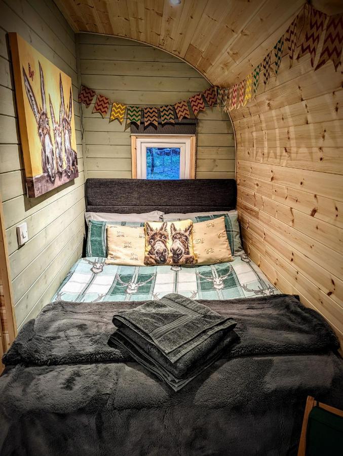 Emlyn'S Coppice - Luxury Woodland Glamping Villa Holywell  Bagian luar foto