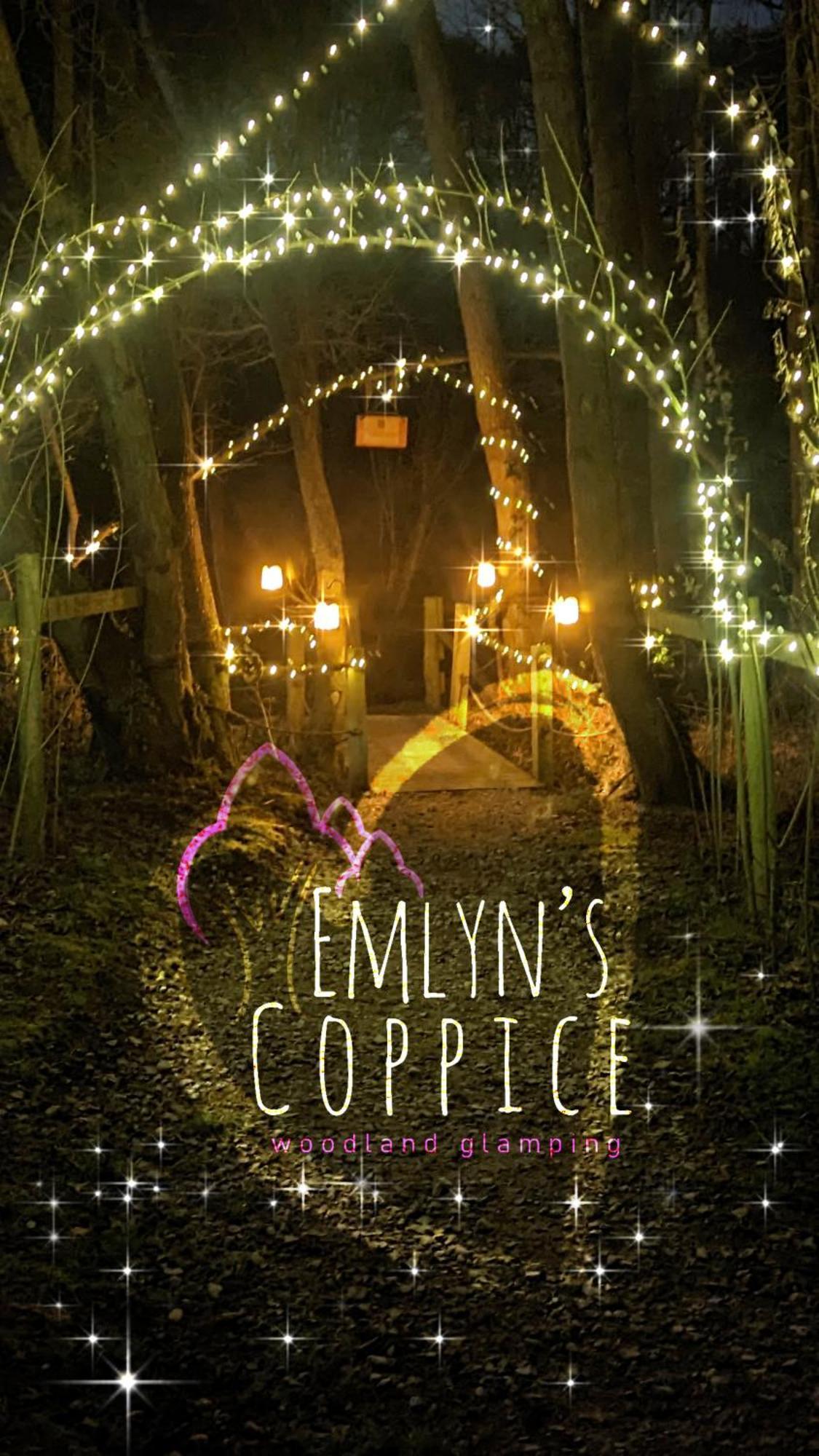 Emlyn'S Coppice - Luxury Woodland Glamping Villa Holywell  Bagian luar foto